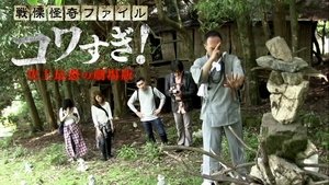 戦慄怪奇ファイル コワすぎ！史上最恐の劇場版