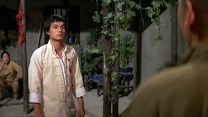 蔡李佛小子