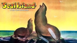 Seal Island