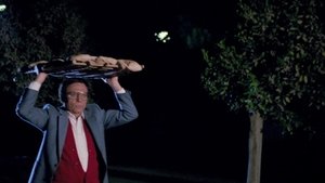 Terrorism and Kebab