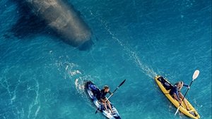 El arrecife: Atrapadas