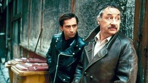 Los locos defensores de la ley