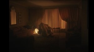 Night for Night