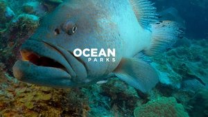 Ocean Parks