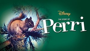 La historia de Perri