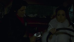 The Albatross