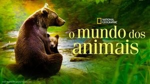 Growing Up Animal