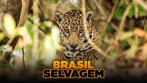 Brasil Selvagem