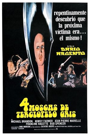 4 moscas sobre terciopelo gris