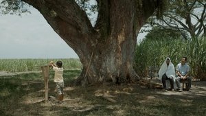 La tierra y la sombra