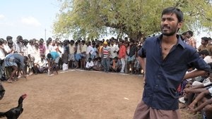 Aadukalam