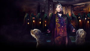 The Traitors Ireland