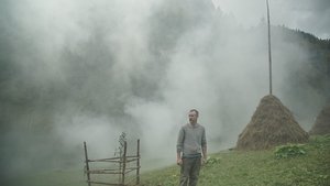 Памфір