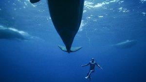 Méditerranée: L'odyssée pour la vie