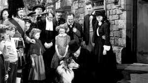 Challenge to Lassie