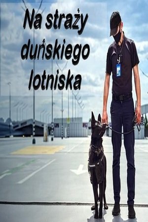 Na straży duńskiego lotniska
