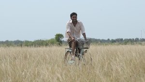 Aadukalam