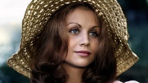 Faustine et le bel été