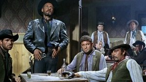 Ringo de Nebraska