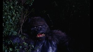 Konga