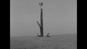 Sur le dune de la solitude