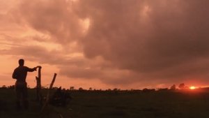 A Distant Cry from Spring
