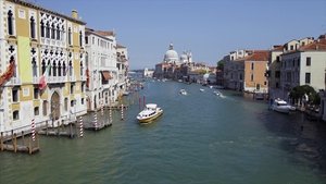 Wild Venice