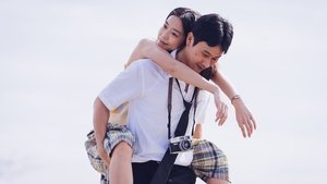 消失的情人節