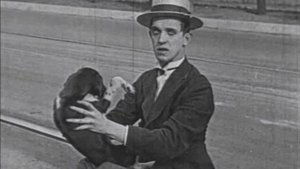 The Lucky Dog