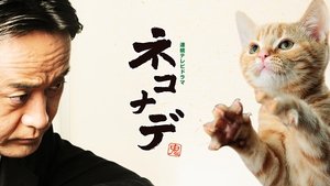 ネコナデ