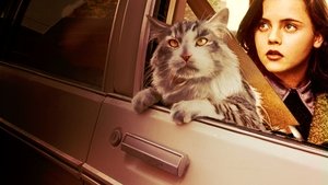 Un gato del FBI
