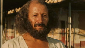 Chronicle of the Years of Fire