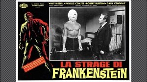 Yo fui un Frankenstein adolescente