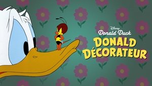 Decorador de inferiores