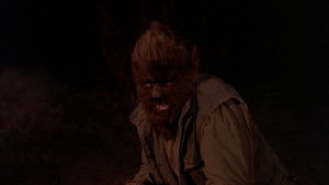 La profecía del tarot