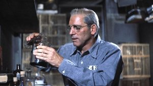 El hombre de Alcatraz