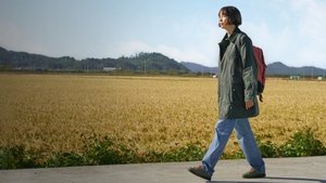 박하경 여행기