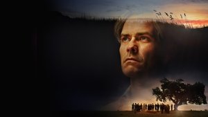 The Domain