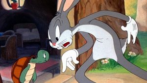 Tortoise Beats Hare