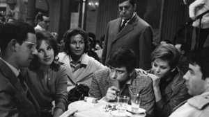 I delfini