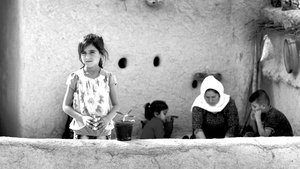 Letters from Shengal