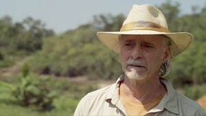Queen of the Amazon