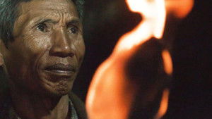 This Little Land of Mines