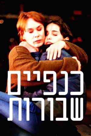 Knafayim Shvurot
