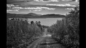 Solitary Road