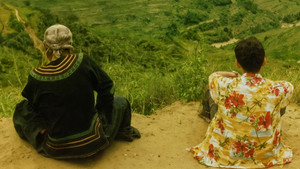 The Bird People in China