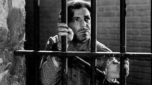 Prisionero del odio