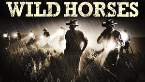 Caballos salvajes