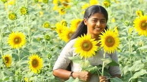 இலை