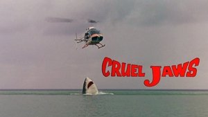 Tiburón 5